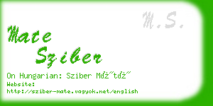 mate sziber business card